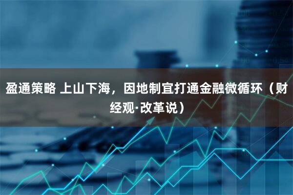 盈通策略 上山下海，因地制宜打通金融微循环（财经观·改革说）