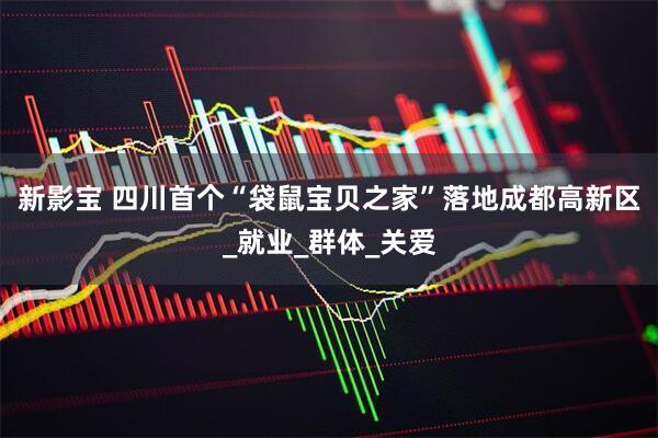 新影宝 四川首个“袋鼠宝贝之家”落地成都高新区_就业_群体_关爱